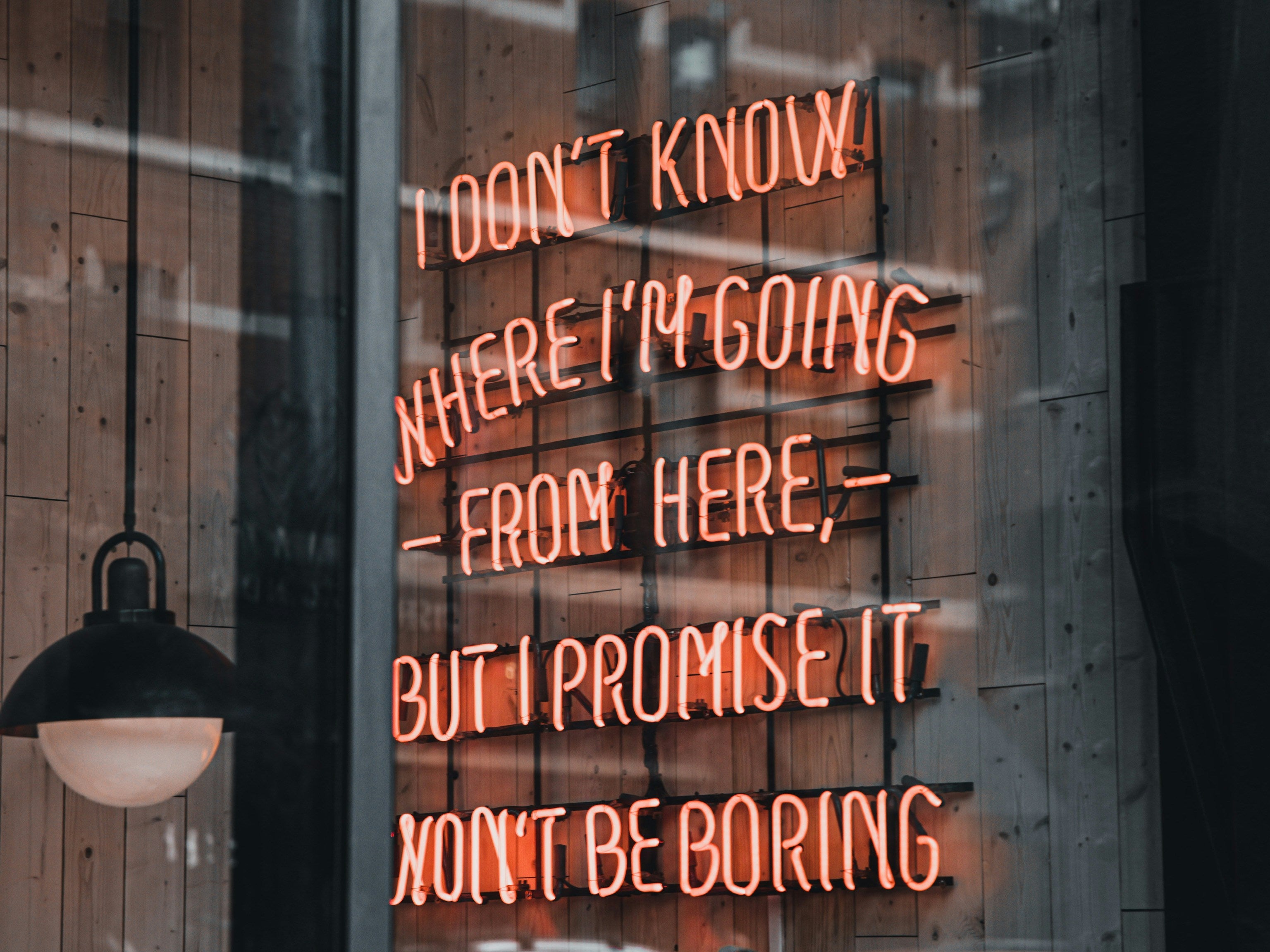Neon shop-window sign reading "I don't know where I'm going from here, but I promise it won't be boring"